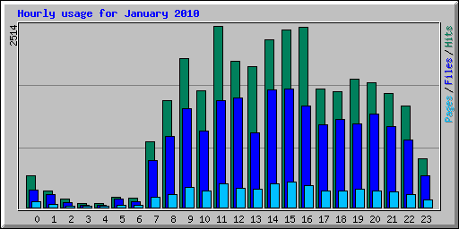 Hourly usage for January 2010